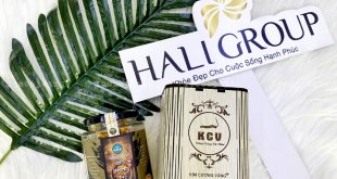 Đơn vị bán đông trùng hạ thảo khô Kim Cương Vàng hộp 10g của Tiến Luật