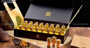 Nhộng Đông trùng hạ thảo Mailands King - thực phẩm "vàng" cho sức khỏe của bạn