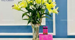 Giới thiệu Hector Collagen ở HCM