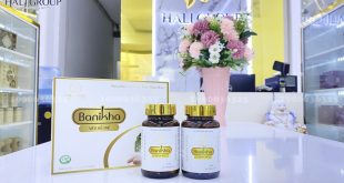Mua viên nang bổ phế Banikha Thiên Phúc tại công ty Hali