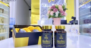 Đại Lý cung cấp viên uống đông trùng hạ thảo Banikha Thiên Phúc chính hãng tại HCM