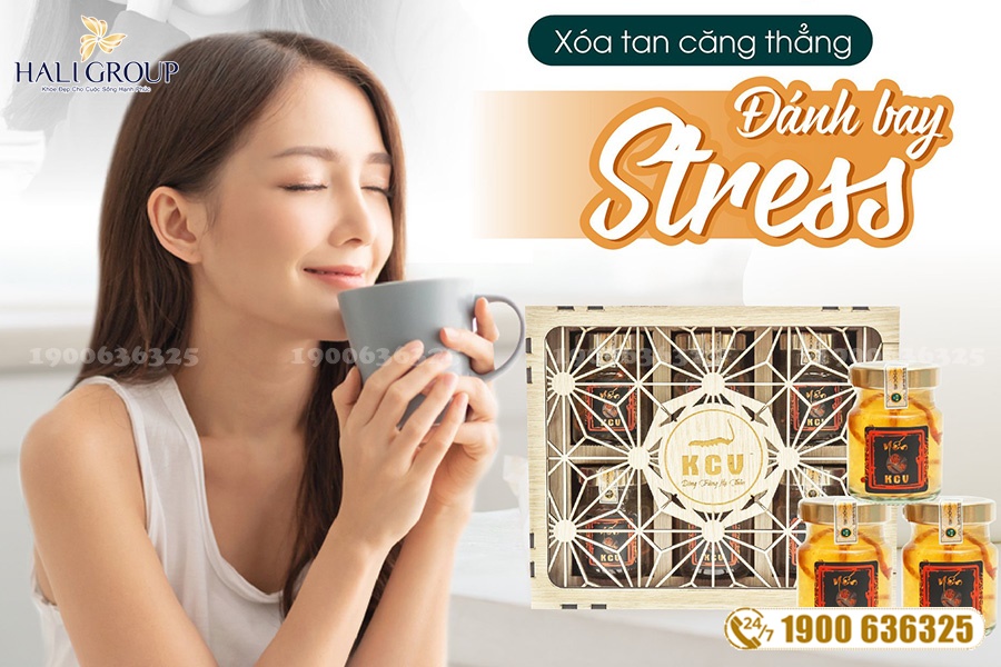 Câu thắc mắc thường gặp khi mua Yến Đông trùng KCV